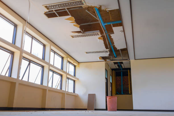  Wrightsville, AR Water damage restoration Pros