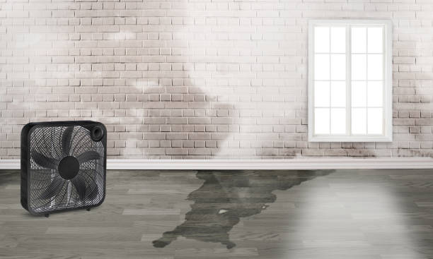 Wrightsville, AR Water damage restoration Company
