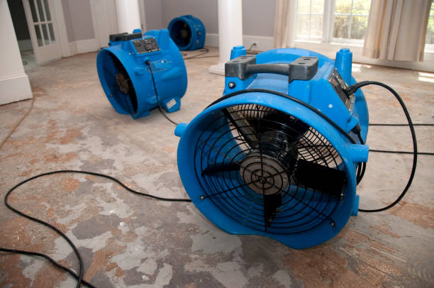 Best Basement water damage restoration  in Wrightsville, AR